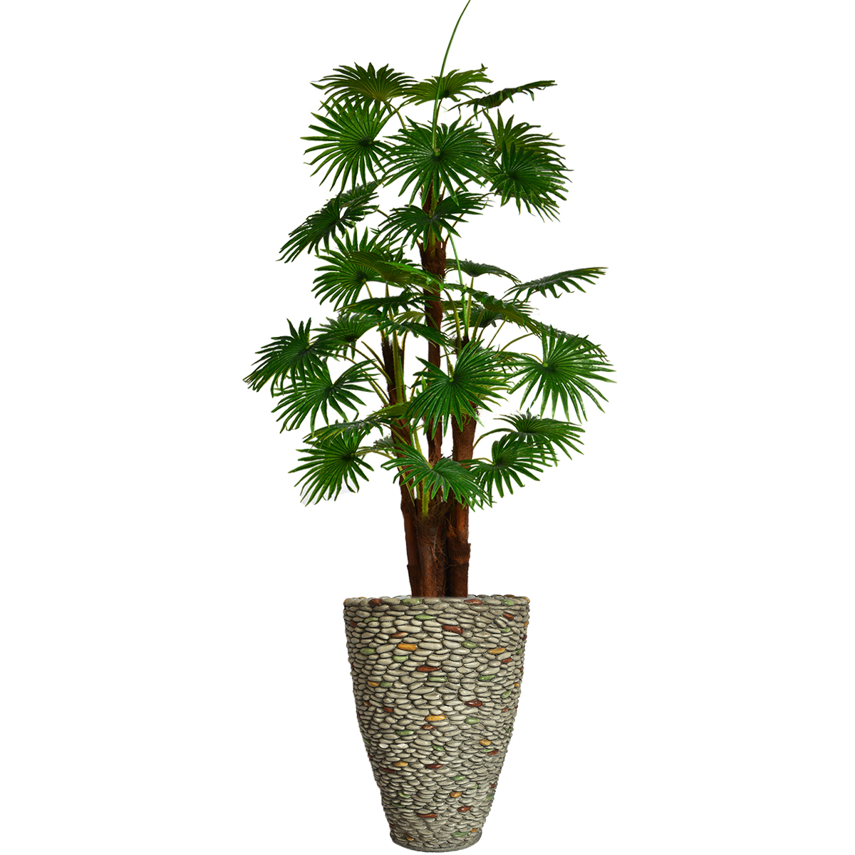 Vhx129209 79.5 In. Tall Fan Palm Tree, Burlap Kit & Fiberstone Planter
