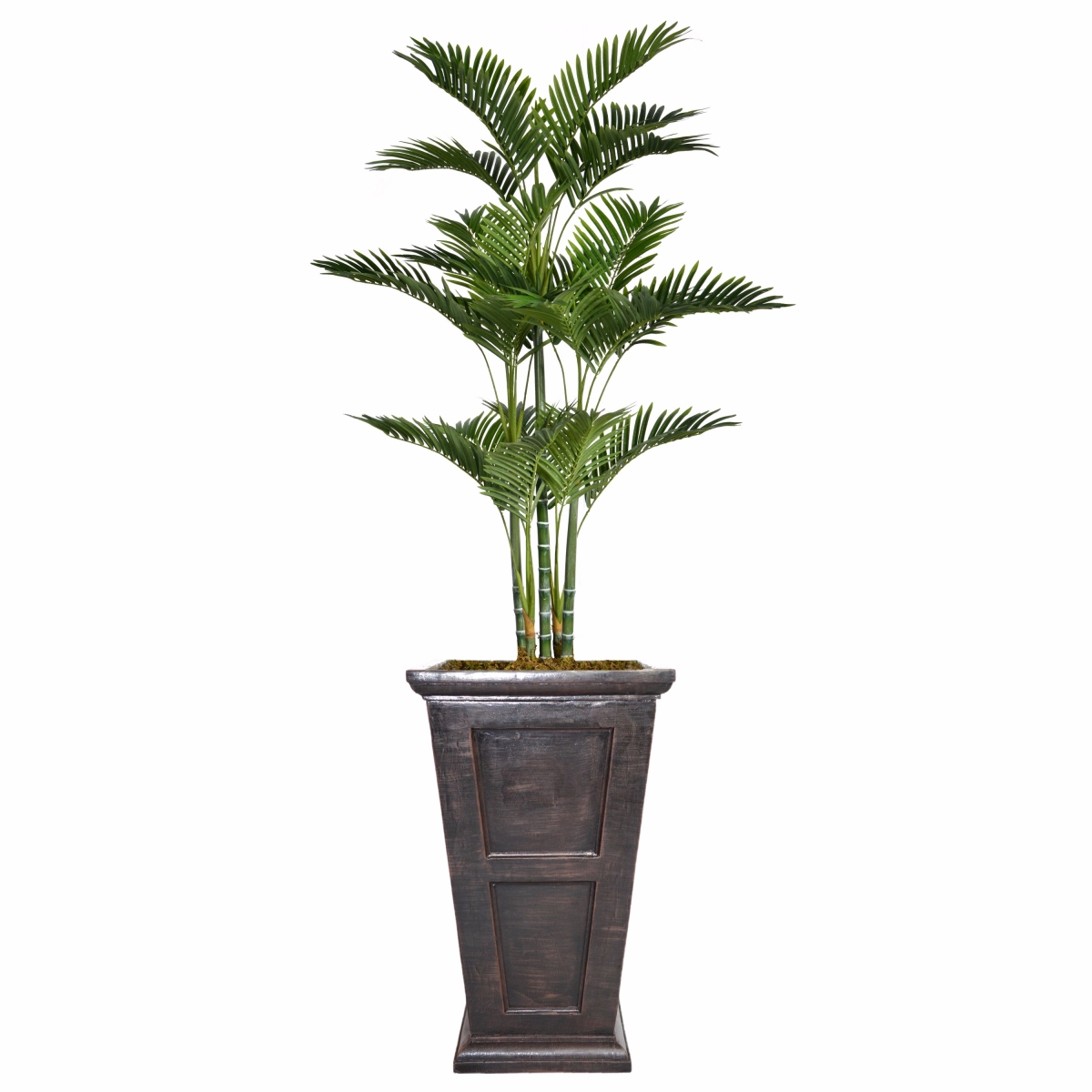 Vhx132201 78.8 In. Tall Palm Tree With Burlap Kit & Fiberstone Planter