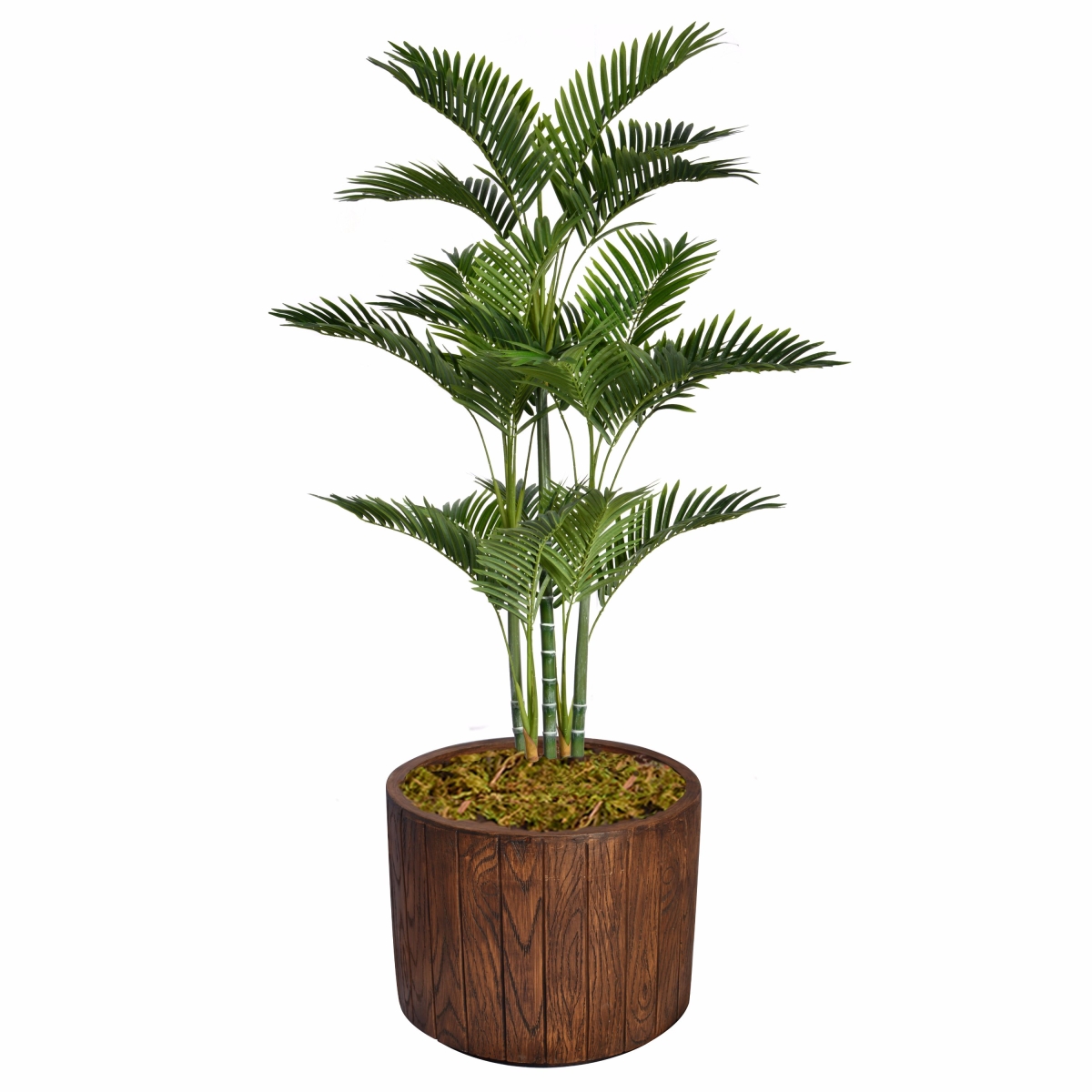 Vhx132202 64.8 In. Tall Palm Tree With Burlap Kit & Fiberstone Planter