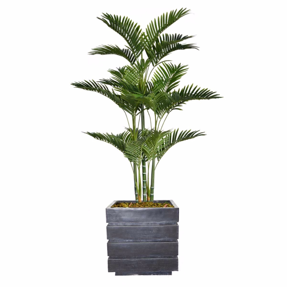 Vhx132204 66 In. Tall Palm Tree With Burlap Kit & Fiberstone Planter