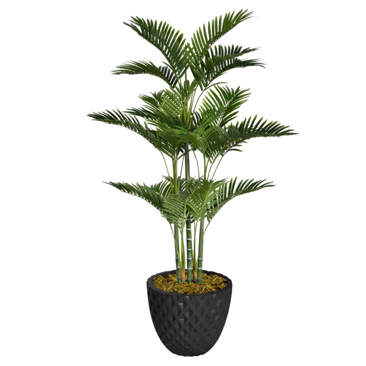 Vhx132205 65.6 In. Tall Palm Tree With Burlap Kit & Fiberstone Planter