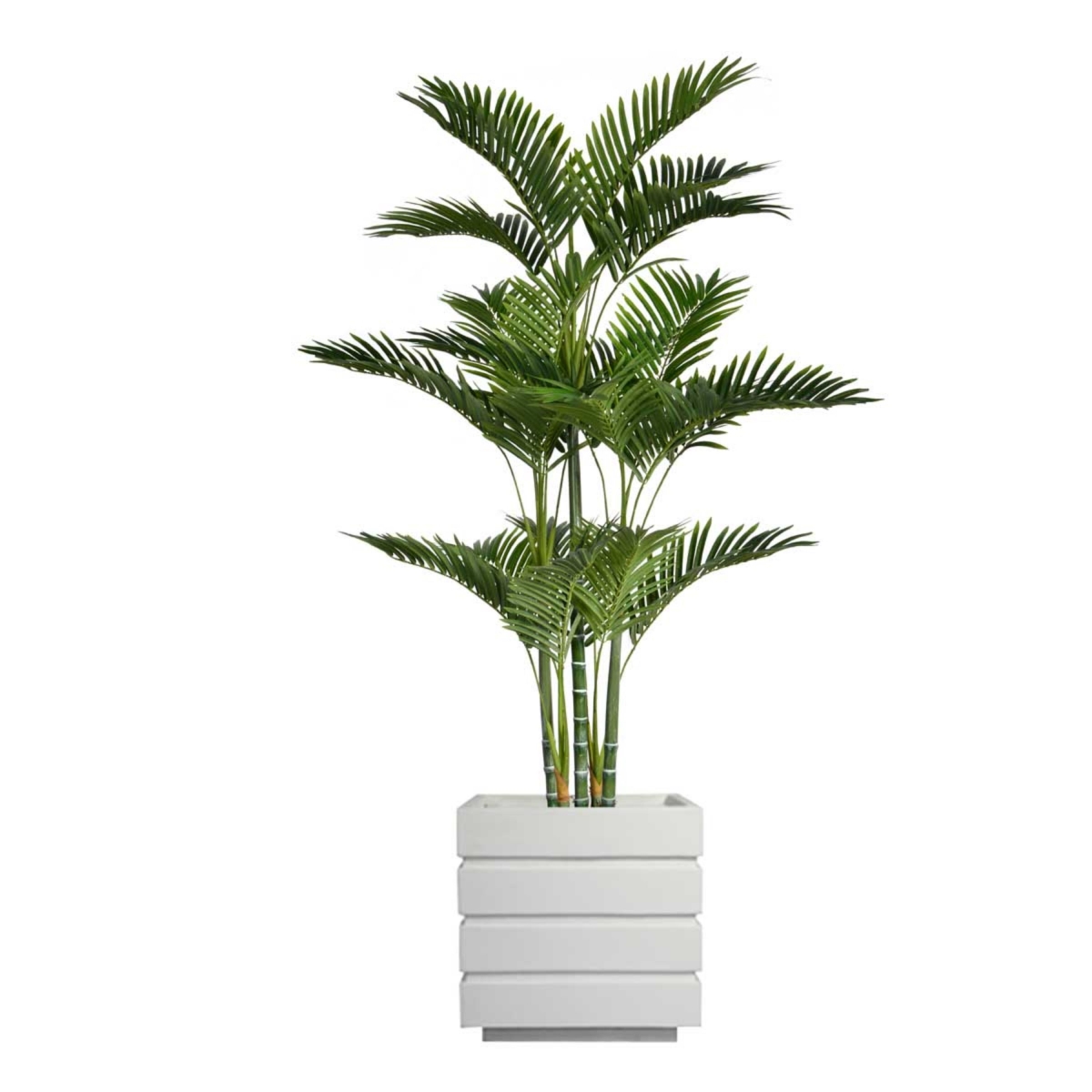 Vhx132211 66 In. Tall Palm Tree With Burlap Kit & Fiberstone Planter