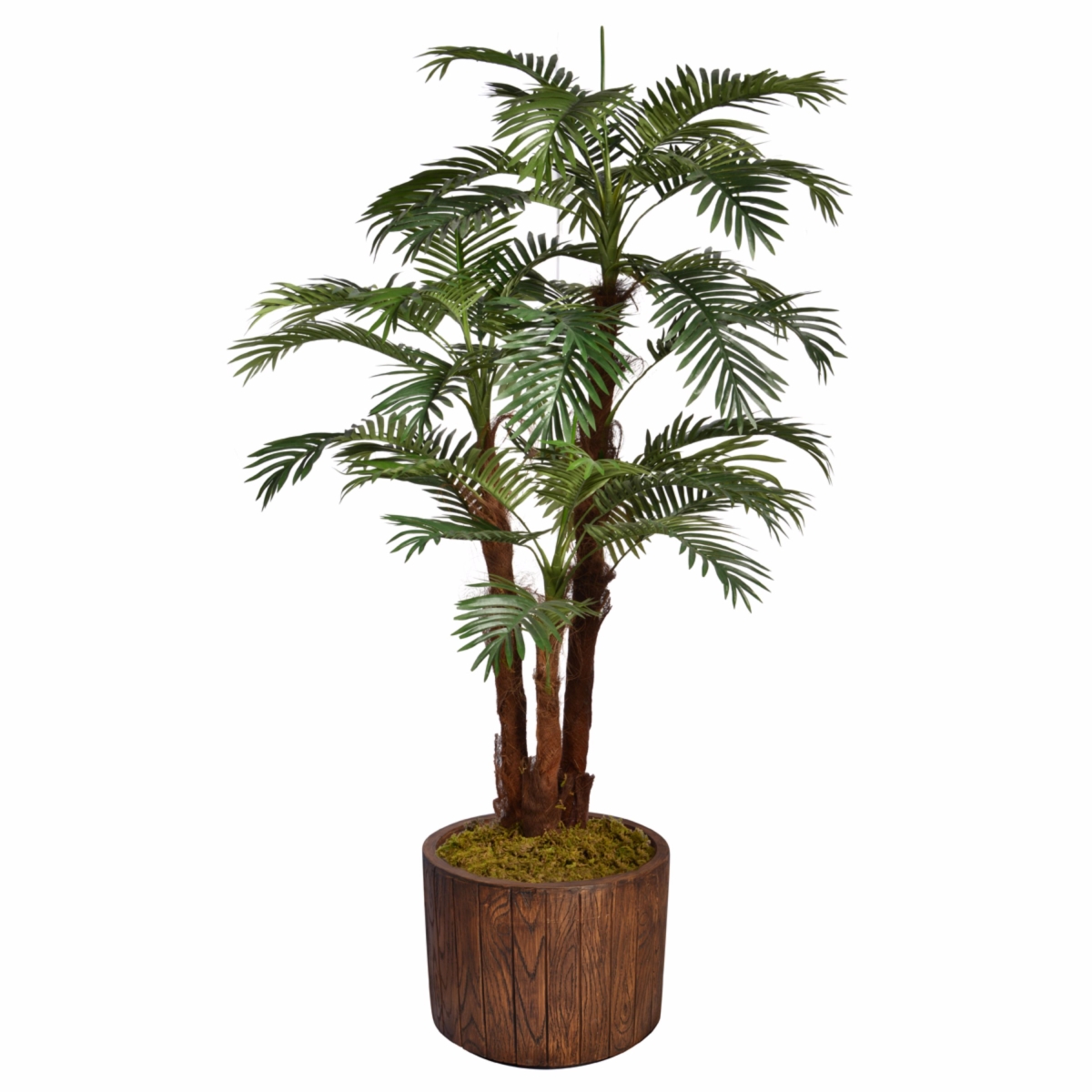 Vhx135202 70.8 In. Tall Palm Tree With Burlap Kit & Fiberstone Planter