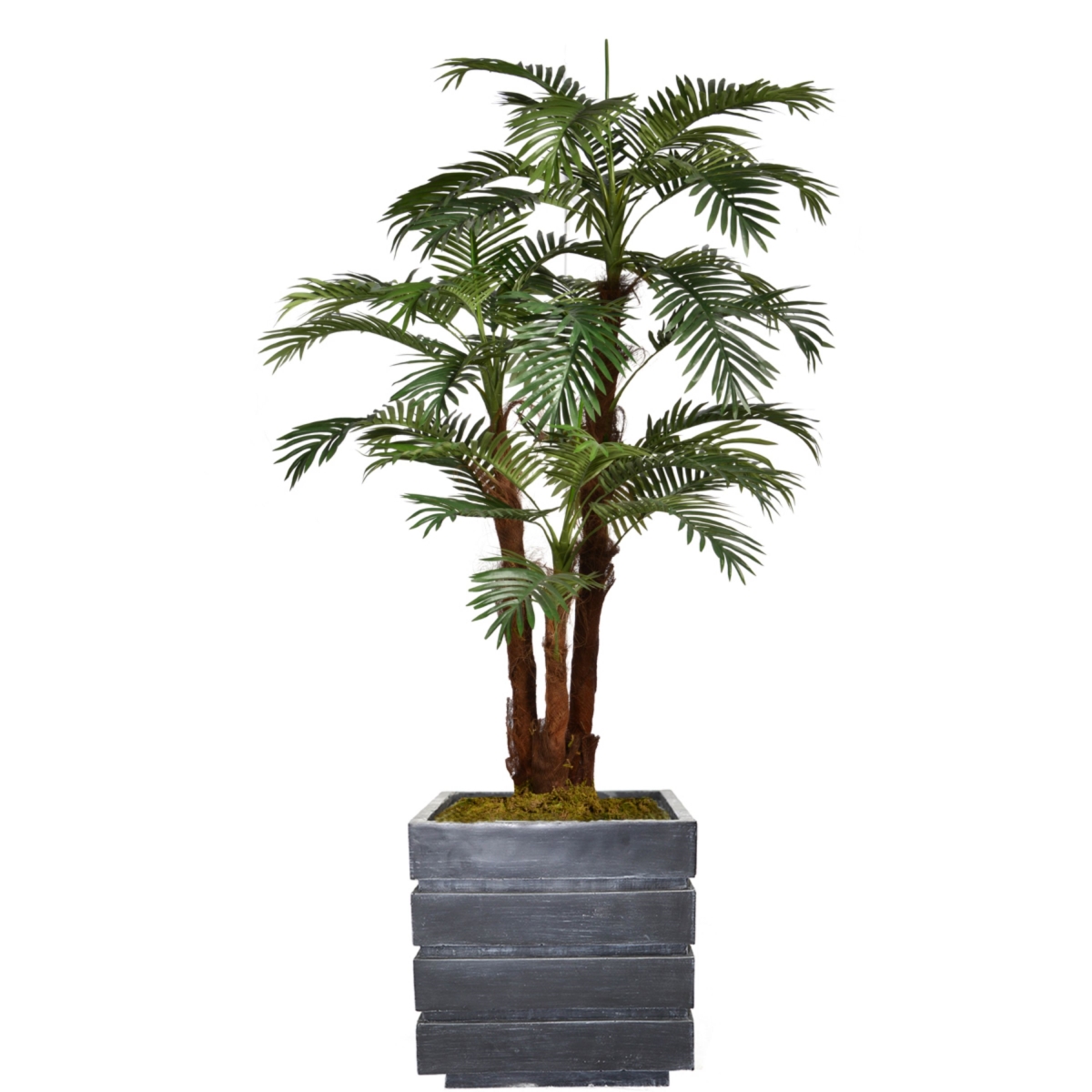 Vhx135204 72 In. Tall Palm Tree With Burlap Kit & Fiberstone Planter