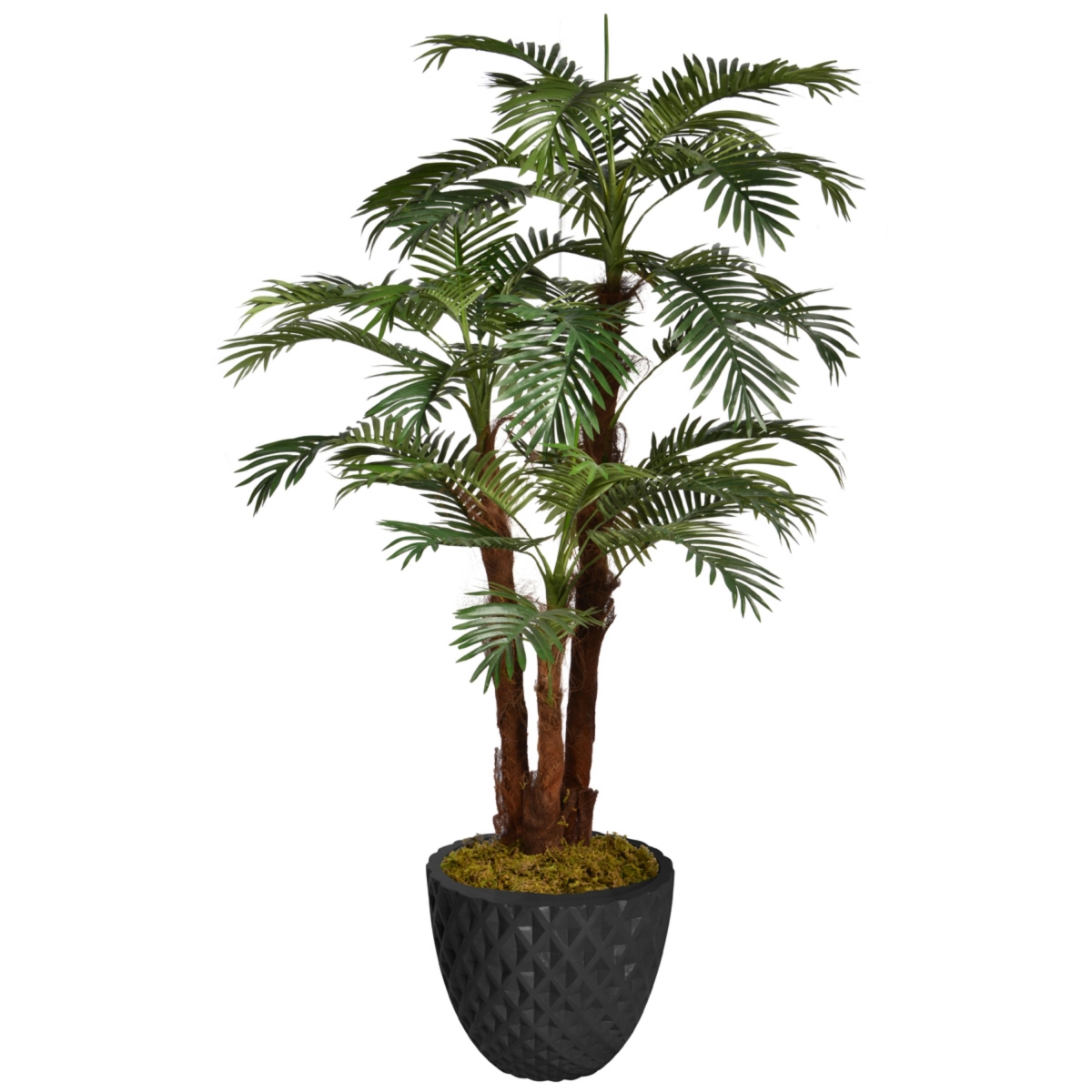 Vhx135205 71.6 In. Tall Palm Tree With Burlap Kit & Fiberstone Planter