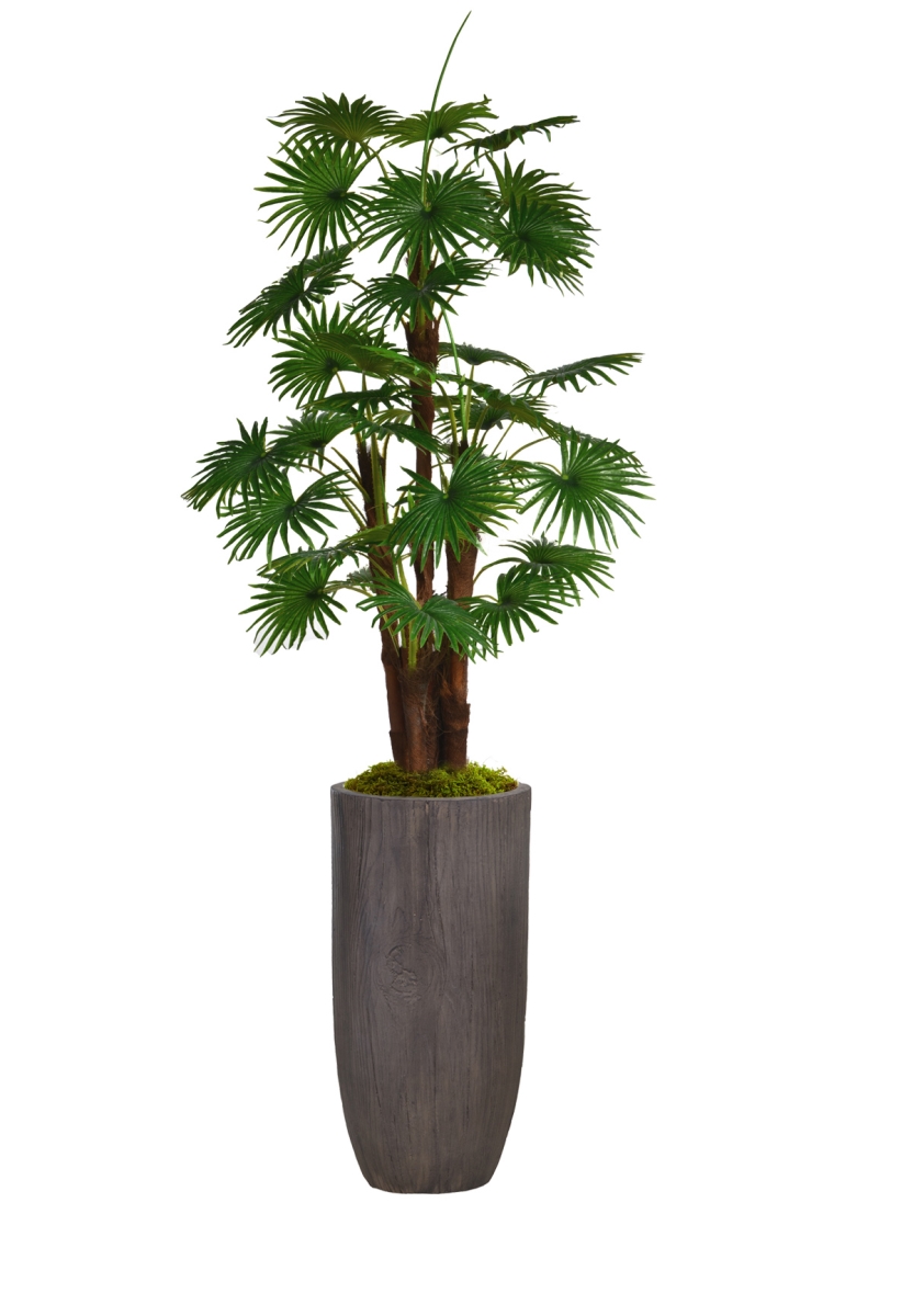 Vhx129224 80.25 In. Fan Palm Tree Faux Decor With Burlap Kit In Resin Planter