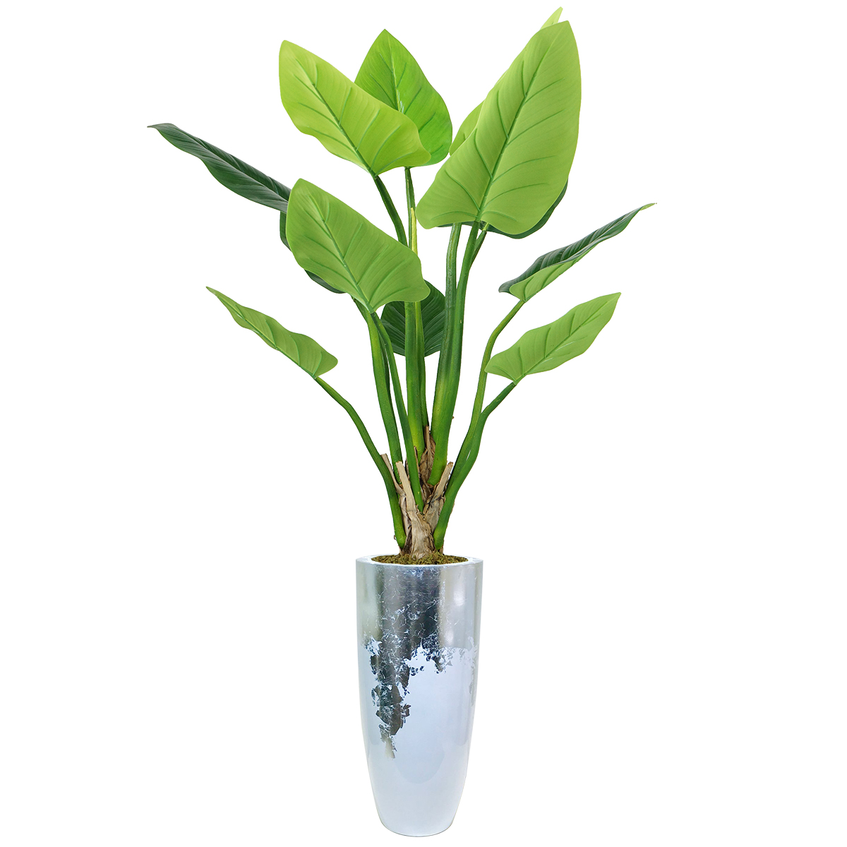 Vhx136220 92.5 In. Philodendron Erubescens Green Emerald Plant In Resin Planter