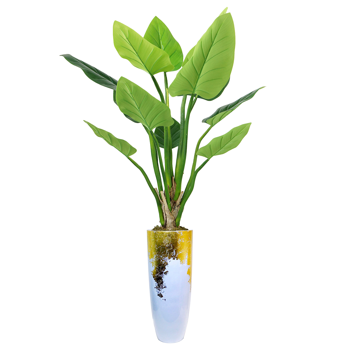 Vhx136221 84.5 In. Philodendron Erubescens Green Emerald Plant In Resin Planter