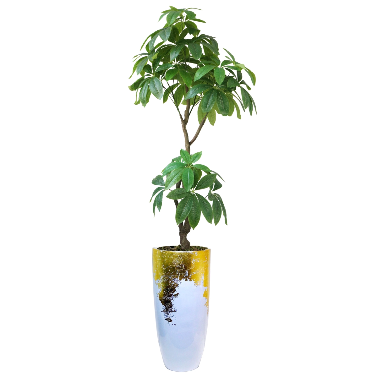 Vhx142221 53.5 In. Indoor & Outdoor Real Touch Pachira Aquatica Plant In Gold Resin Planter