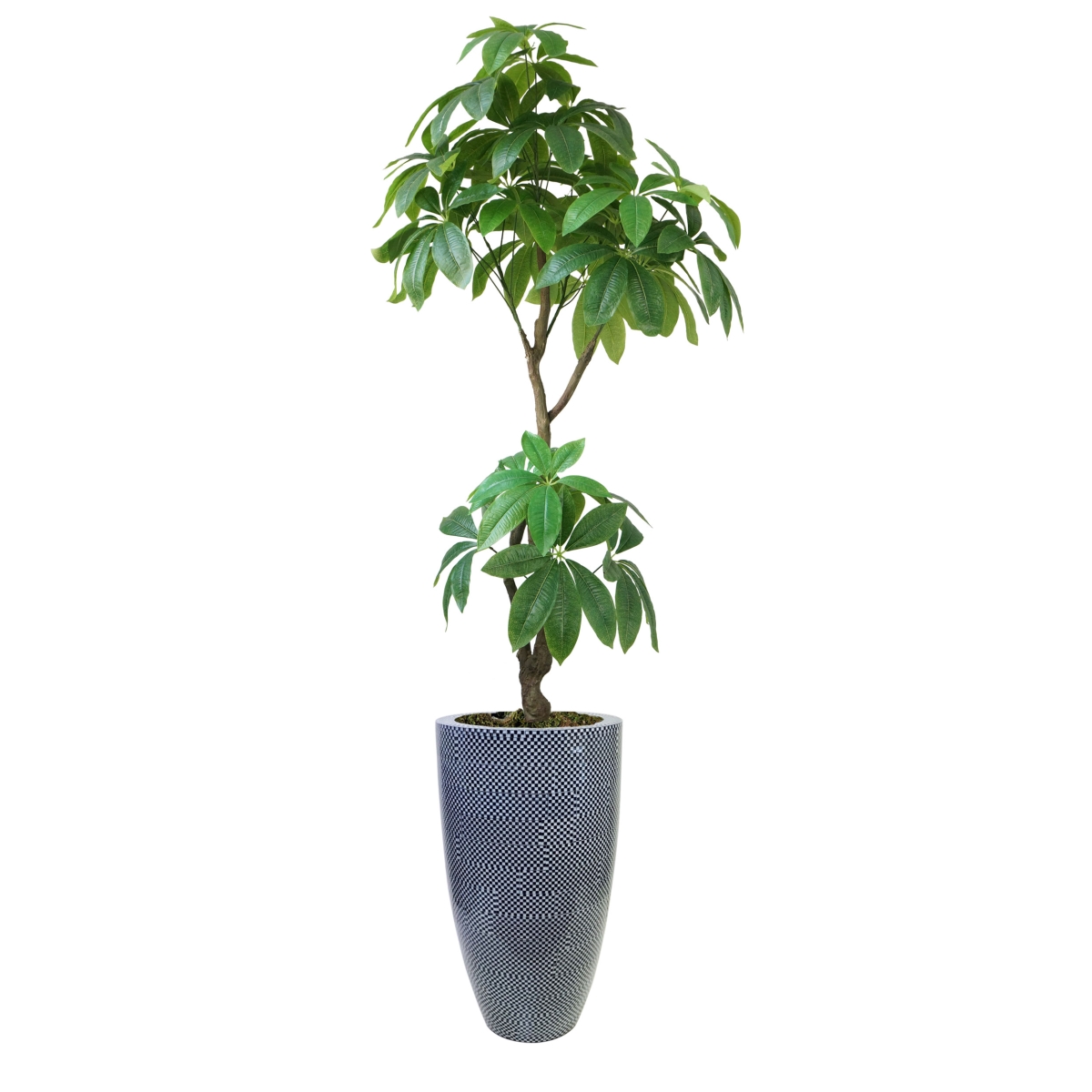 Vhx142223 53.5 In. Indoor & Outdoor Real Touch Pachira Aquatica Plant In Resin Planter