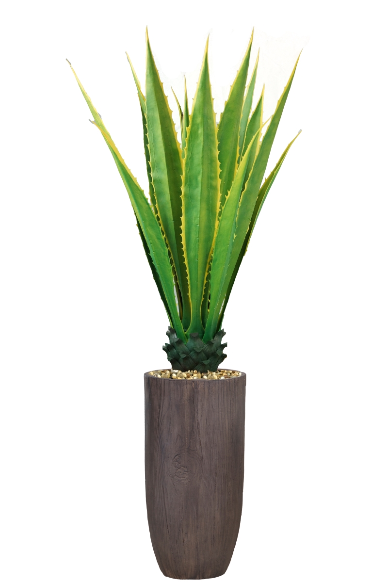Vhx147224 62.25 In. Indoor & Outdoor Agave Plant In Resin Planter