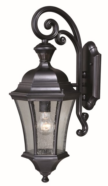 60w 10 In. Aberdeen Dualux Outdoor Wall Light Shiny Black, Clear Seeded Glass