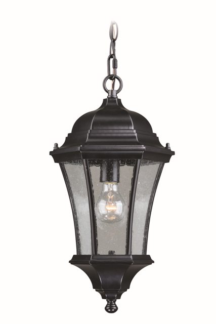 100w 10 In. Aberdeen Outdoor Pendant Light Shiny Black, Clear Seeded Glass