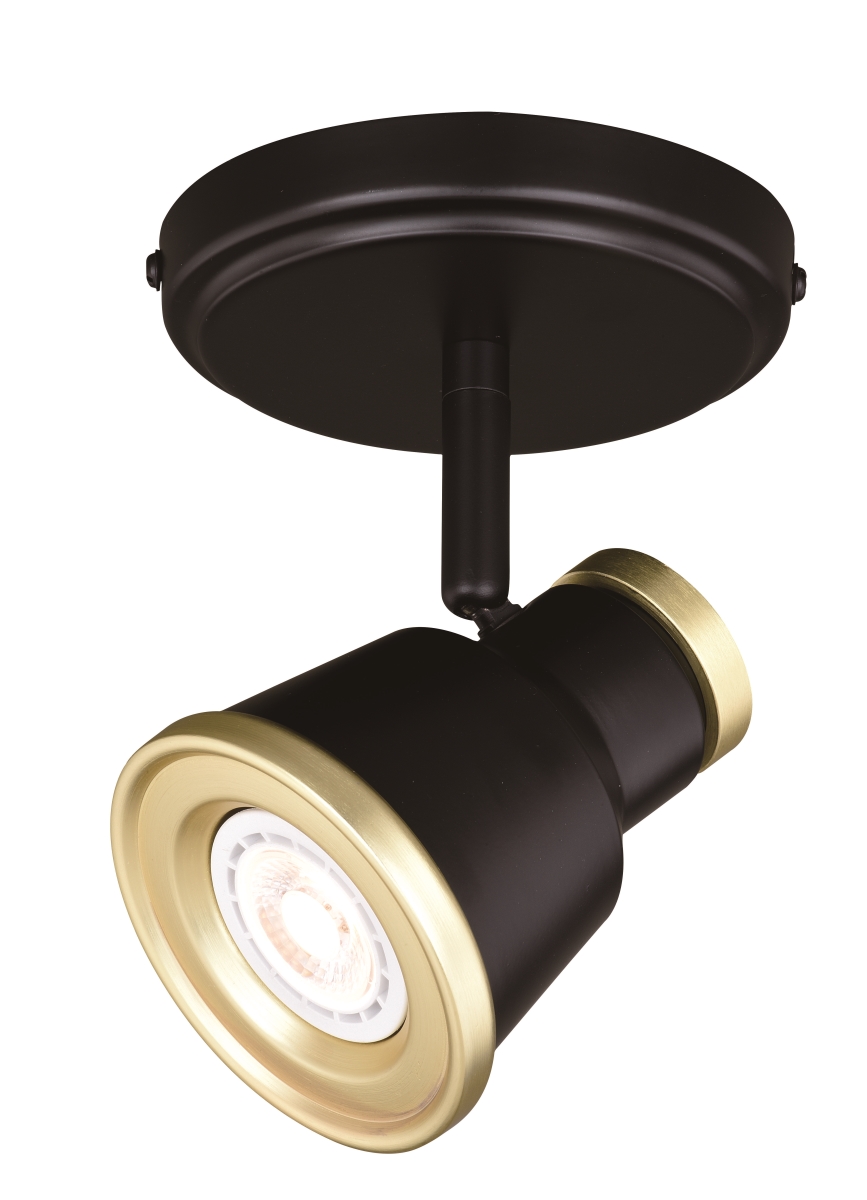 C0206 Fairhaven 1 Light Directional Light In Textured Black With Natural Brass