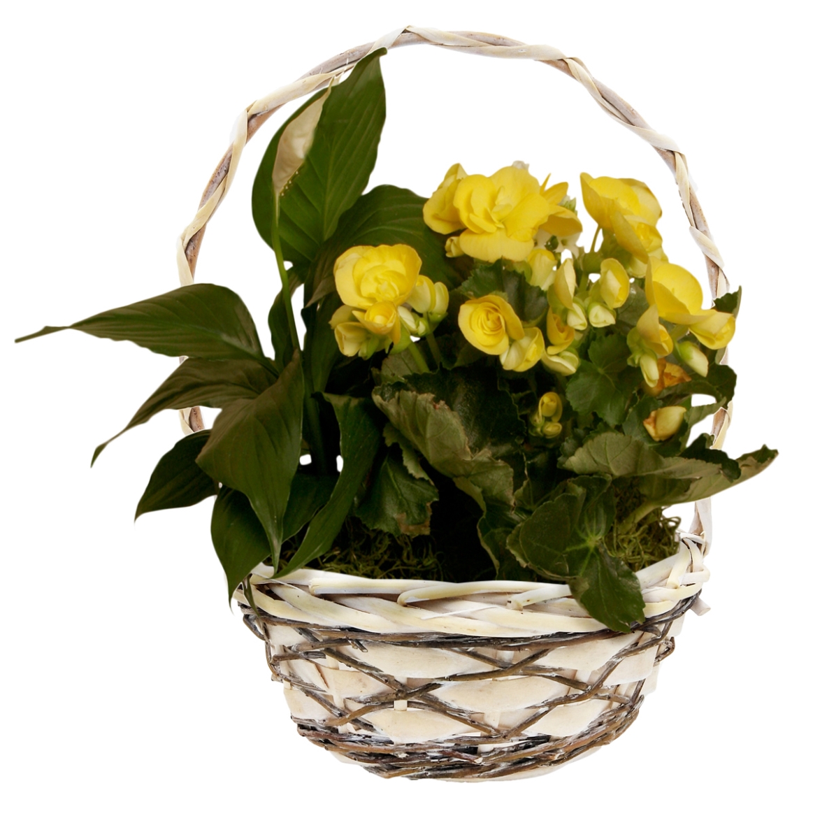 0040-8 8 In. Woodchip Willow & Vine Handled Basket - Set Of 3