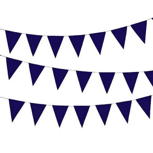 43003-14 Paper Pennant Banner, Violet