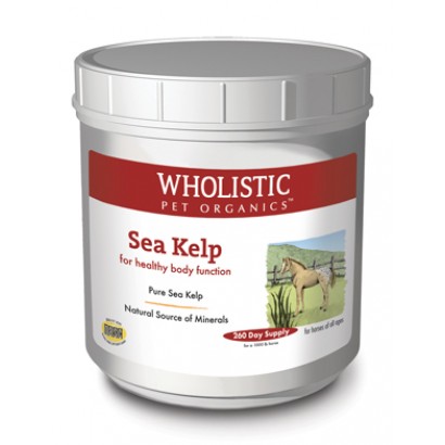 Estwp17 2 Lbs Equine Sea Kelp For Healthy Body Function