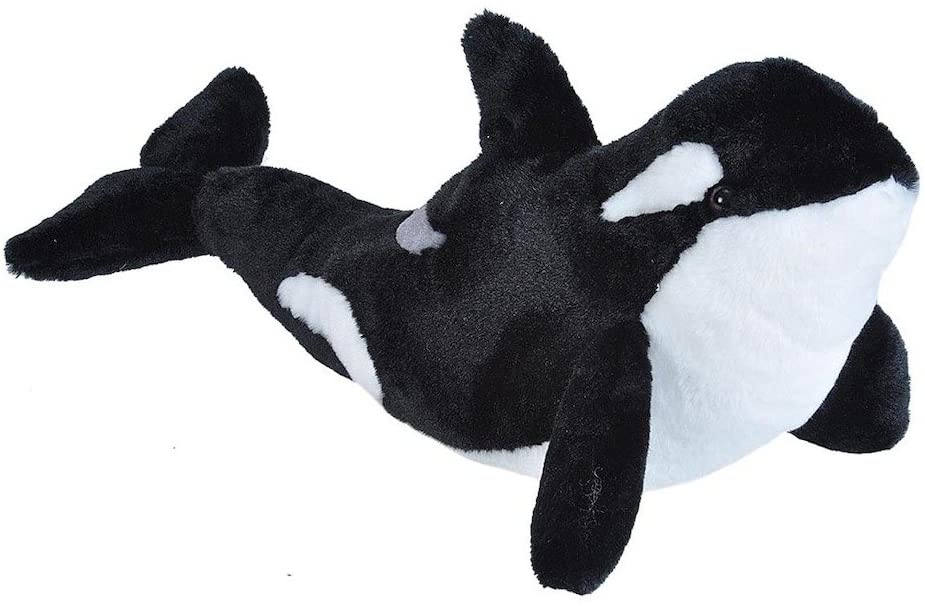 22476 15 in. Orca Stuffed Animal Plush Toy