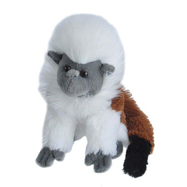 12277 8 in. CK-Mini Cottontop Tamarin Stuffed Animal Plush Toy