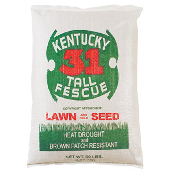 25ky 25 Lbs Ky 31 Tall Fescue Grass Seed - Pack Of 25