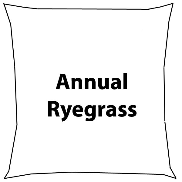05lbannrye 5 Lbs Annual Ryegrass Seed