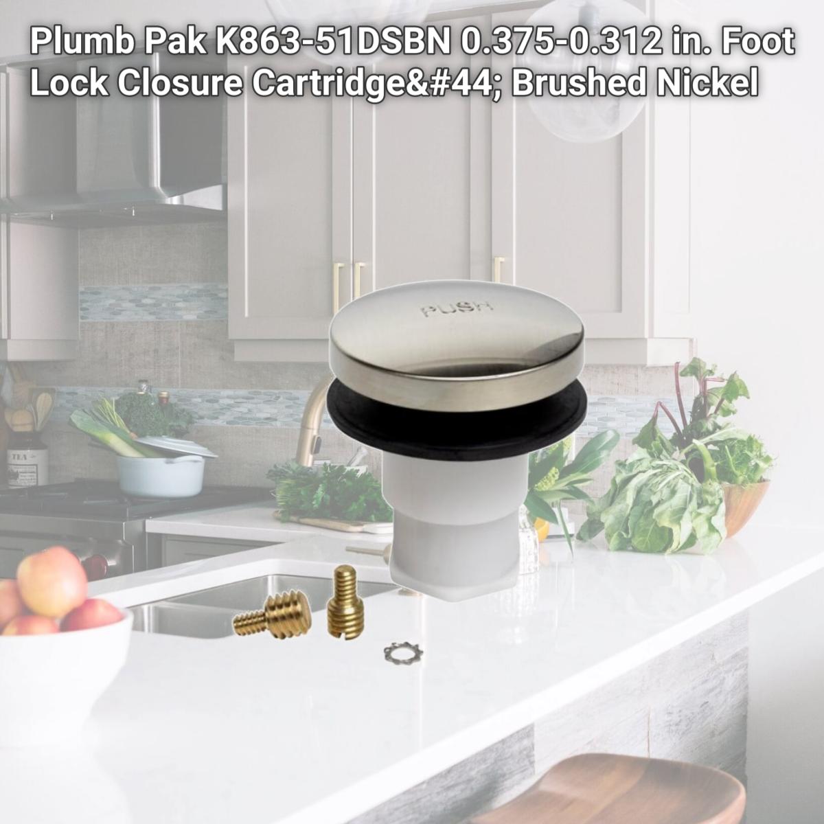 Picture of Plumb Pak K863-51DSBN 0.375-0.312 in. Foot Lock Closure Cartridge, Brushed Nickel