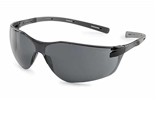 20gyx8 Ellipse Safety Glasses - Gray