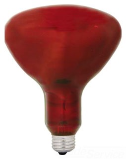 37771 250r40-10 Heat Lamp - R40