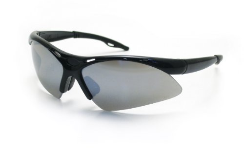 540-0213 Glasses Black Frame & Smoke Lens
