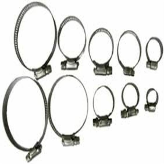 671755j Assorted Stainless Steel Clamps - 10 Piece