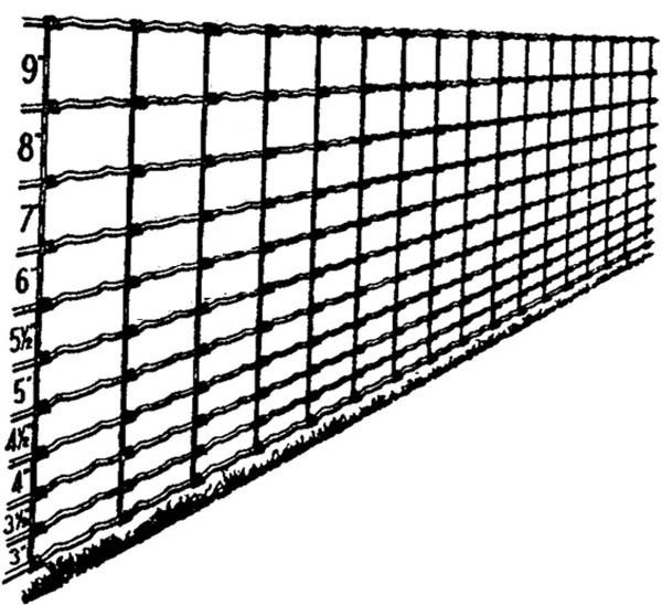 805f Field Fence - 39 In. X 12.5 Gauge