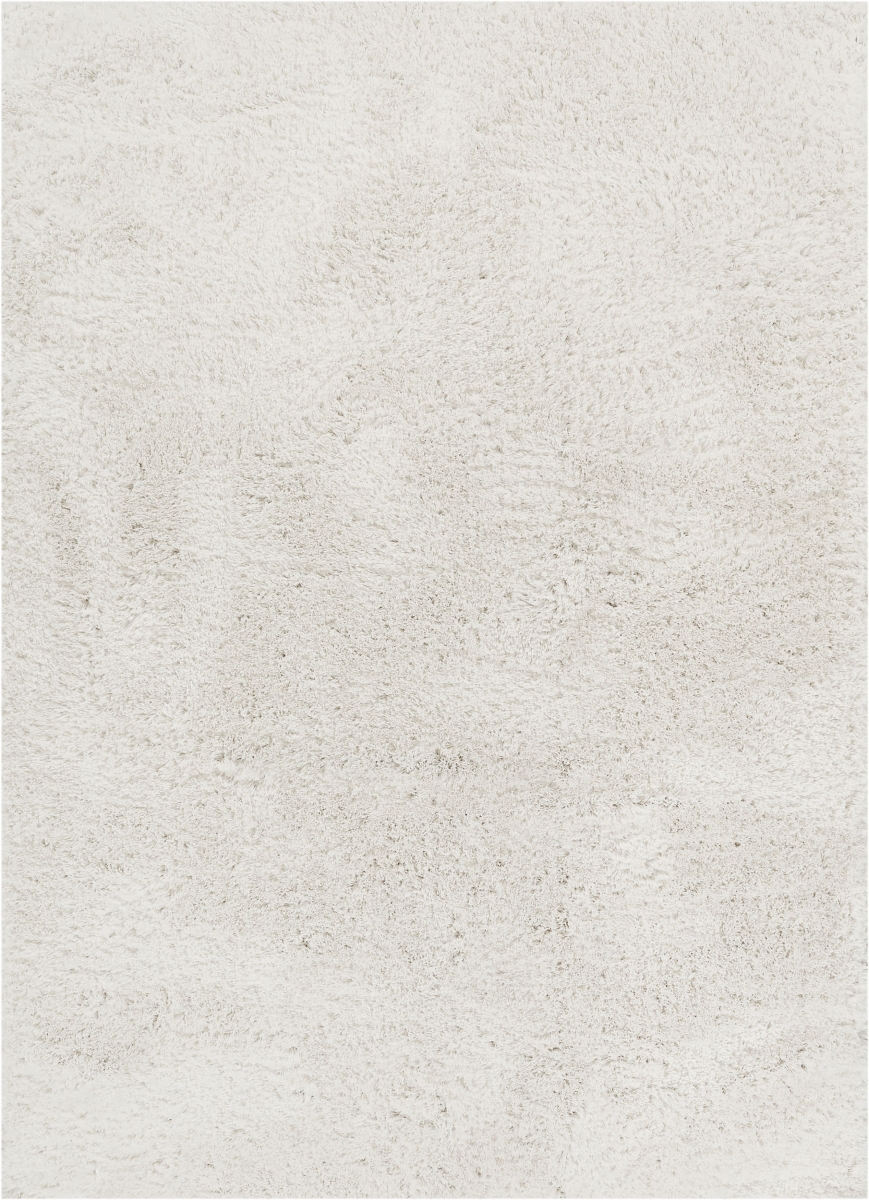 Ce-02-4 Celeste Olympic White Modern Solid Shag Thick Area Rug - 3 Ft. 11 In. X 5 Ft. 3 In.