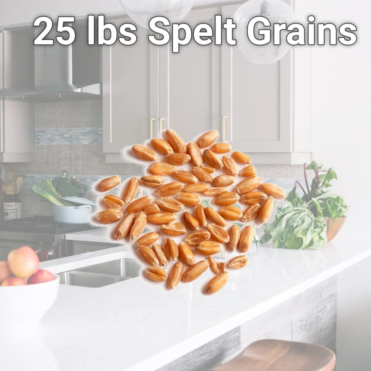 Picture of Woodland Foods 006971 25 lbs Spelt Grains