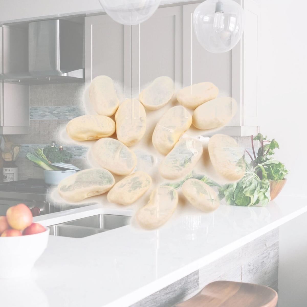 Picture of Woodland Foods 003697 Dry Cannellini Beans, 10 lbs.