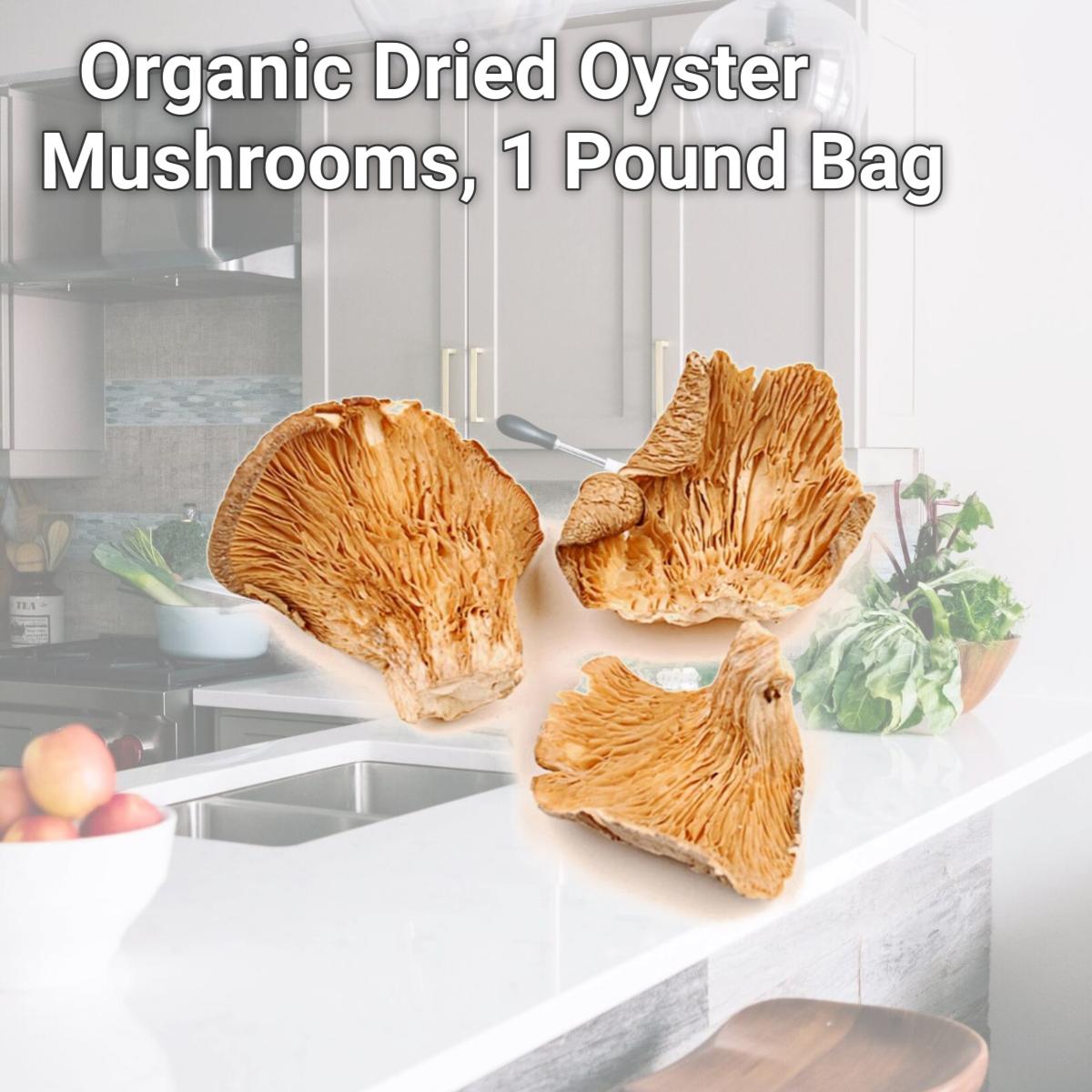 Picture of Woodland Foods 259537 Organic Dried Oyster Mushrooms, 1 Pound Bag