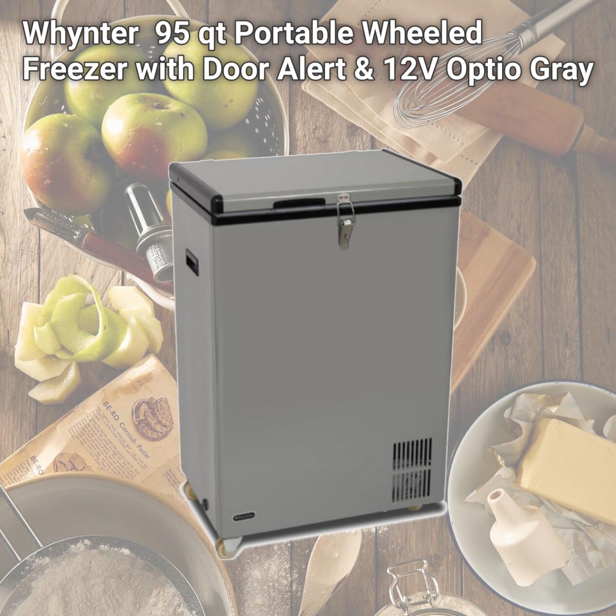 Picture of Whynter FM-951GW 95 qt Portable Wheeled Freezer with Door Alert & 12V Optio, Gray