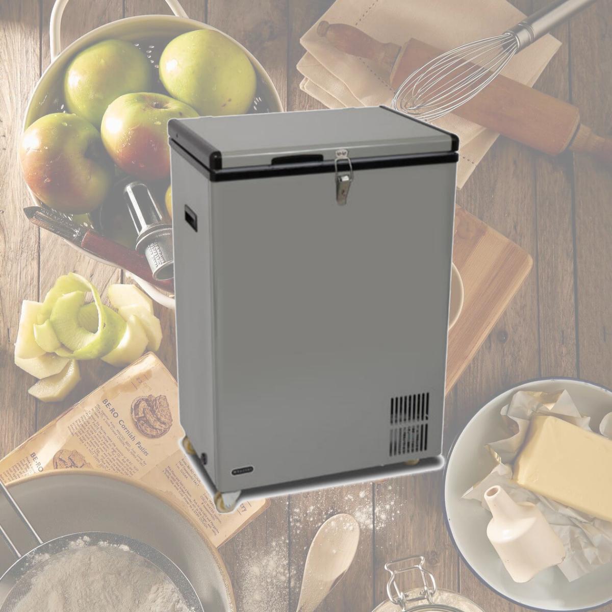 Picture of Whynter FM-951GW 95 qt Portable Wheeled Freezer with Door Alert & 12V Optio, Gray
