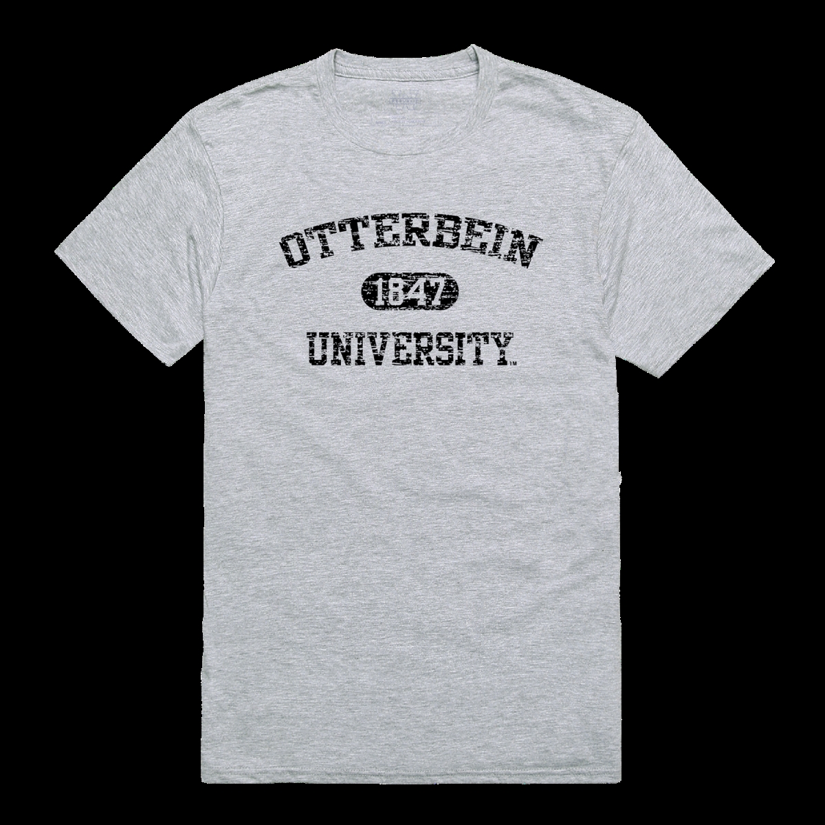 UPC 783782748796 product image for Otterbein University Cardinals Distressed Arch College T-Shirt, Heather Grey | upcitemdb.com