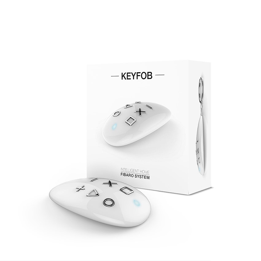 Fibfgkf-601 6-button Keyfob Remote Control