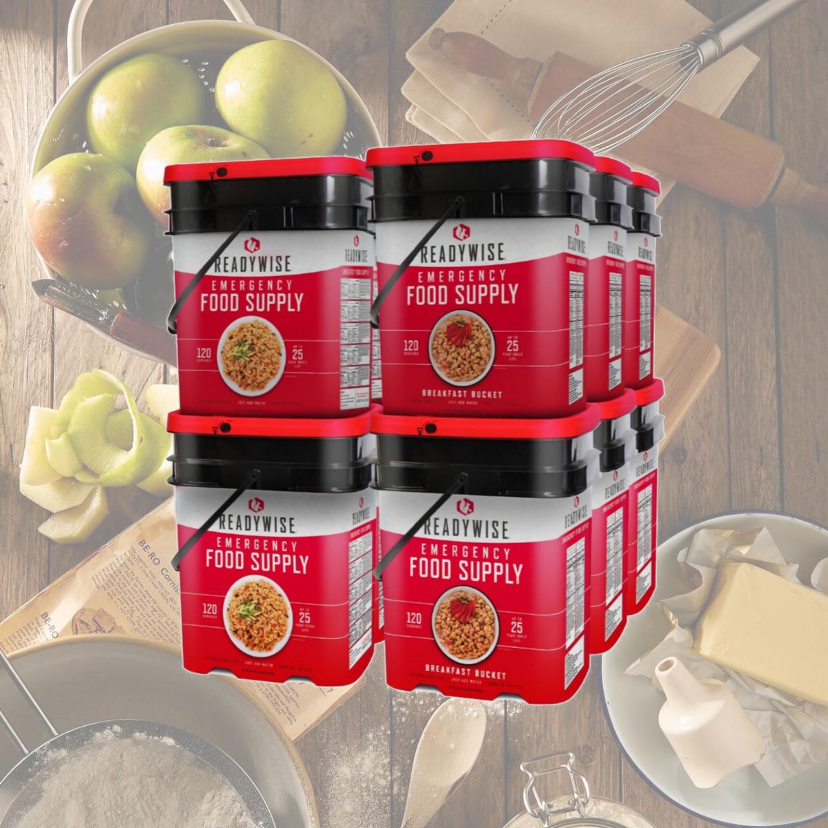 Picture of ReadyWise RW40-41440 Dried Dehydrated 1440 Meal Bundle
