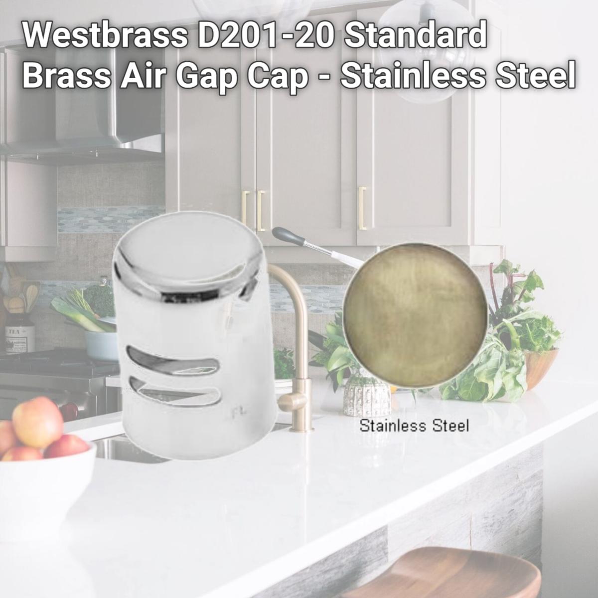 Picture of Westbrass D201-20 Standard Brass Air Gap Cap - Stainless Steel