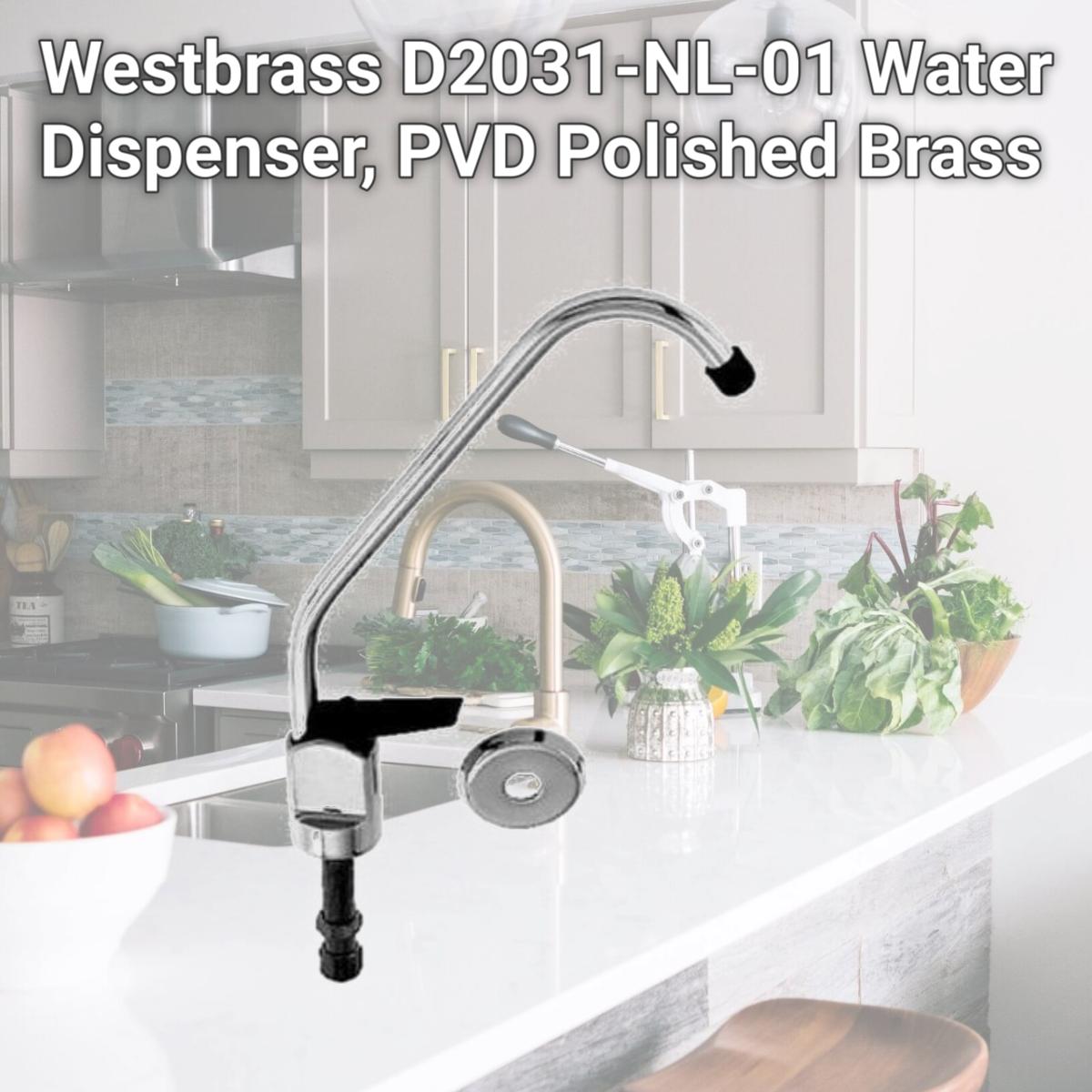 Picture of Westbrass D2031-NL-01 Water Dispenser, PVD Polished Brass