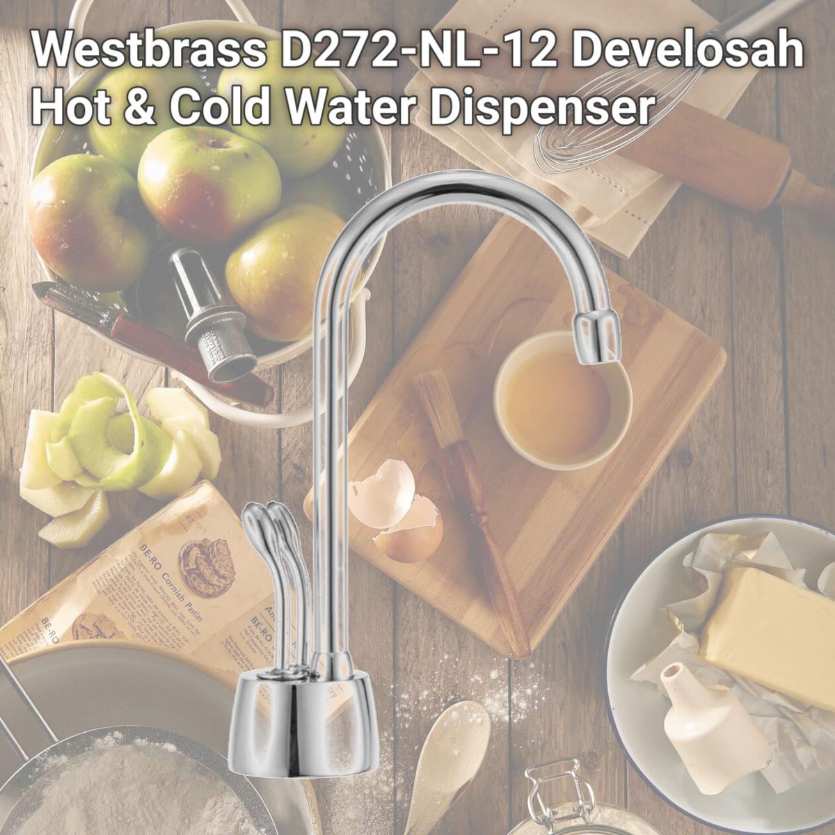 Picture of Westbrass D272-NL-12 Develosah Hot & Cold Water Dispenser