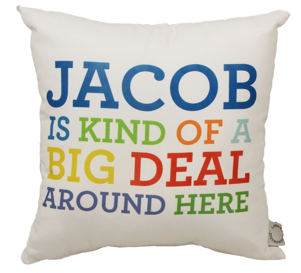 652145 18 X 18 In. Ls Jacob Big Deal Decorative Throw Pillow Cushion