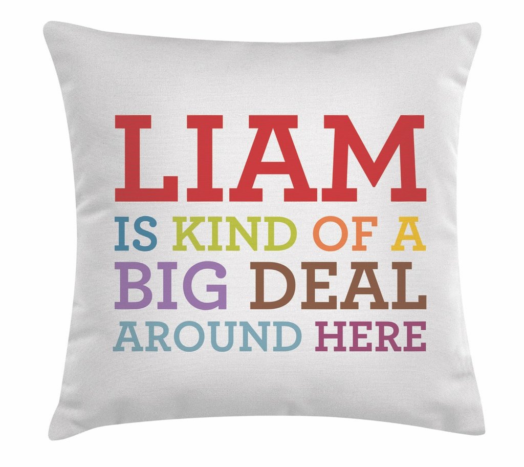 652077 18 X 18 In. Ls Liam Big Deal Decorative Throw Pillow Cushion, Square