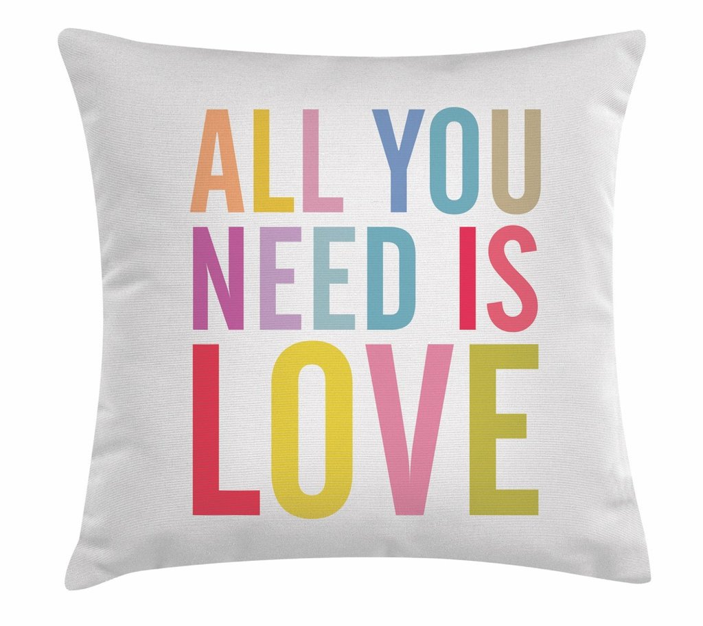 652076 18 X 18 In. Ls What Makes You Decorative Throw Pillow Cushion, Square