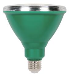 3314900 15w Reflector Led Outdoor Lamp, Green