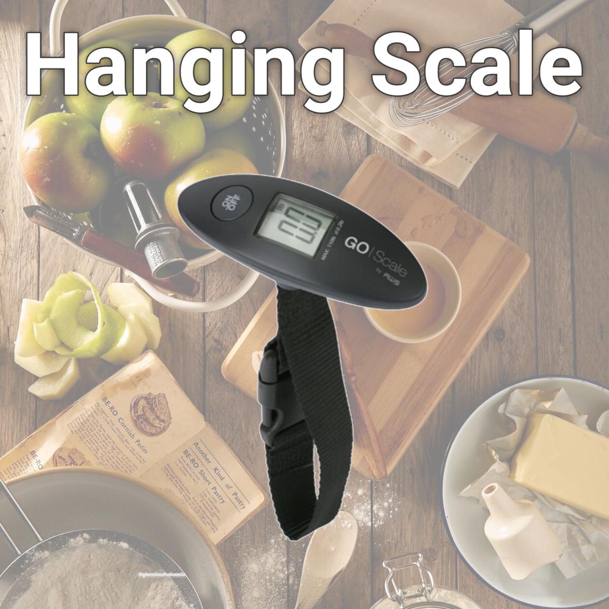 Picture of Aws GO-110 Hanging Scale