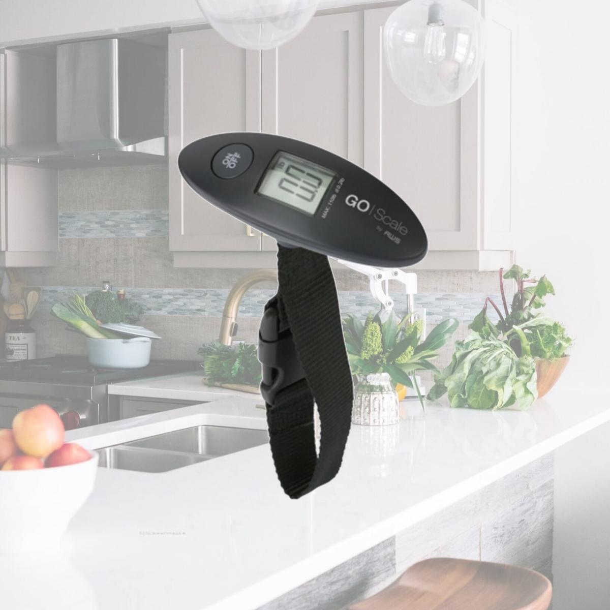 Picture of Aws GO-110 Hanging Scale
