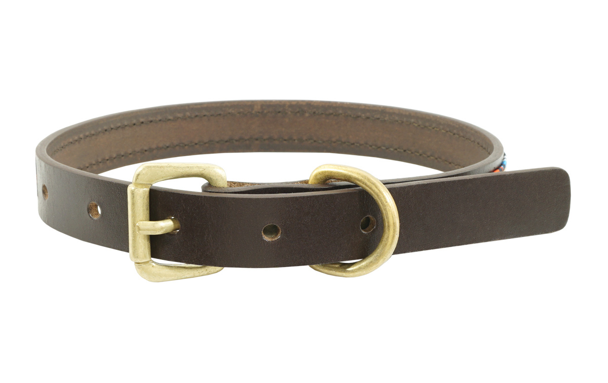 Ma-01-1 M Ziggy Dog Collar, Dark Brown - Medium